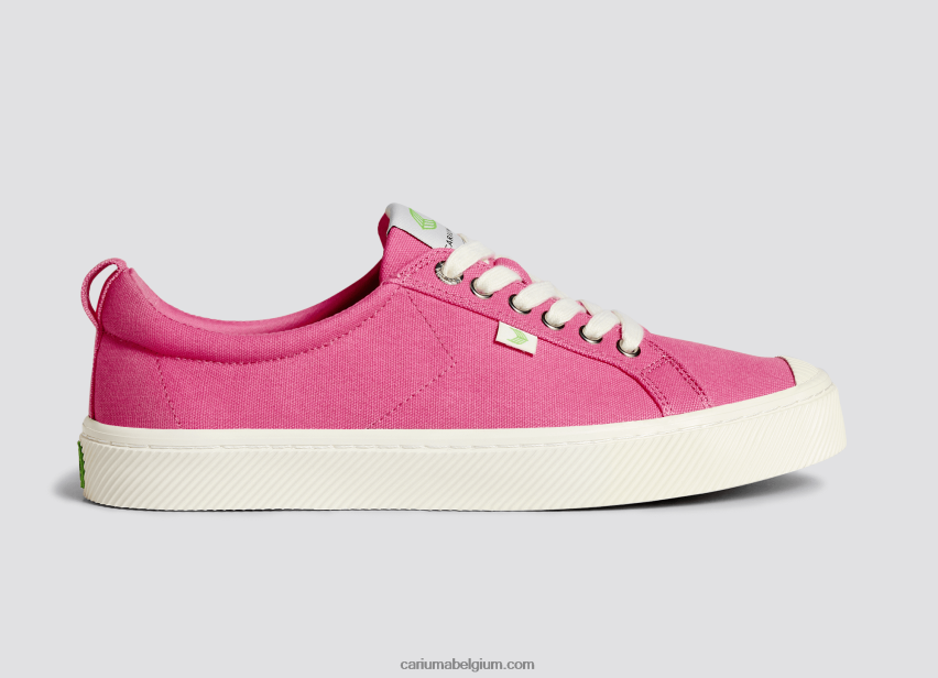 Heren Cariuma helder roze canvas 6F0Z2424