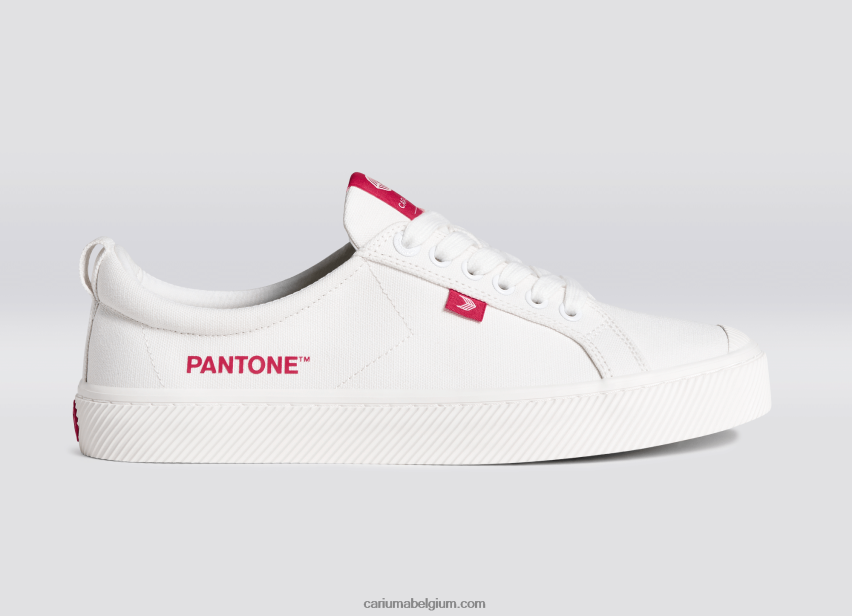 Heren Cariuma pantone gebroken wit/viva magenta canvas 6F0Z2439