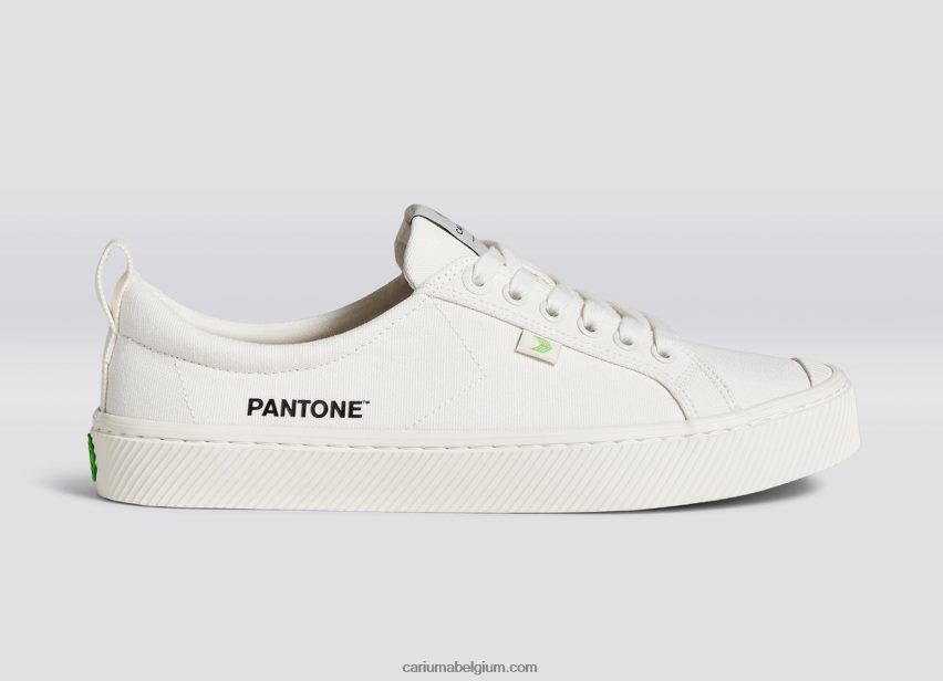 Heren Cariuma pantone sneeuwwit canvas 6F0Z2416
