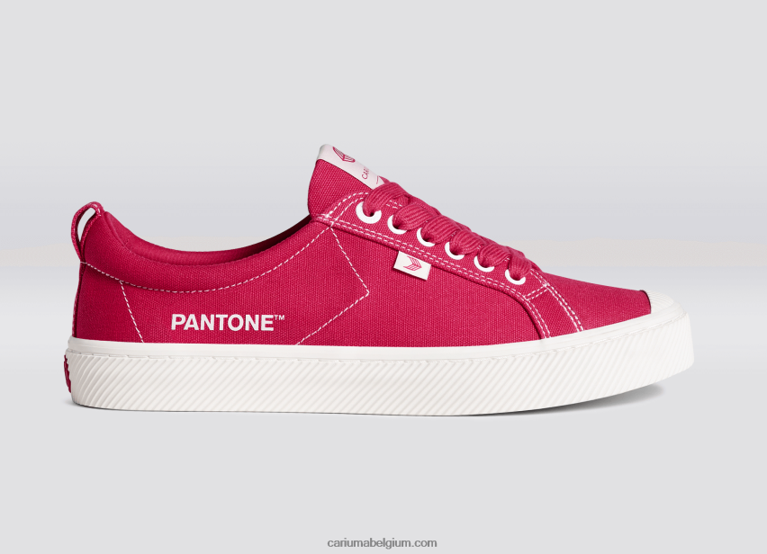 Heren Cariuma pantone viva magenta/gebroken wit canvas 6F0Z2438