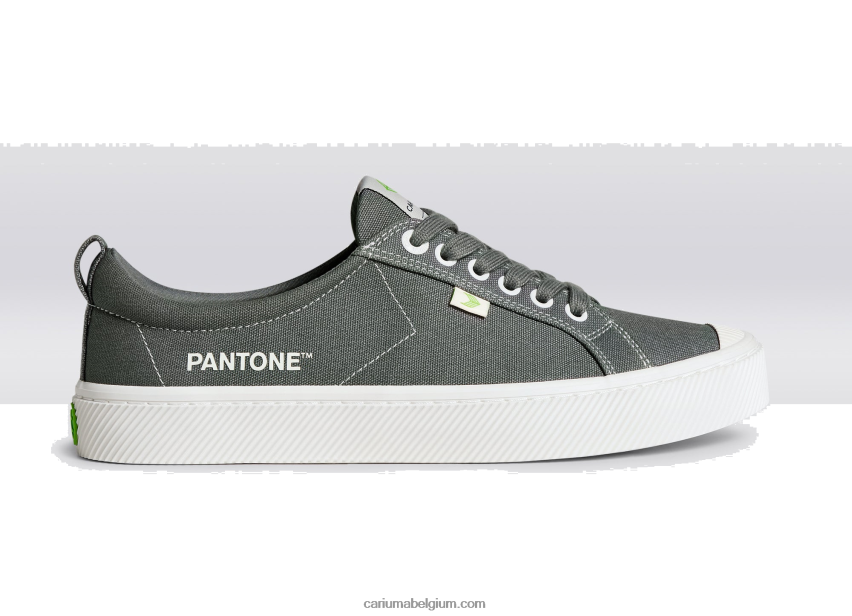 Heren Cariuma pantone waterspuwer grijs canvas 6F0Z2440