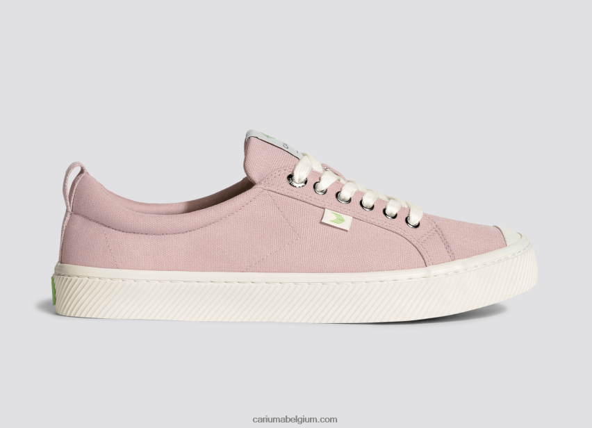 Heren Cariuma rozen canvas 6F0Z245