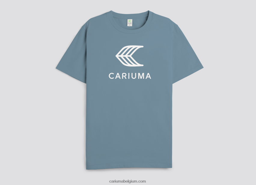 vrouwen Cariuma luchtspiegeling blauw 6F0Z24207