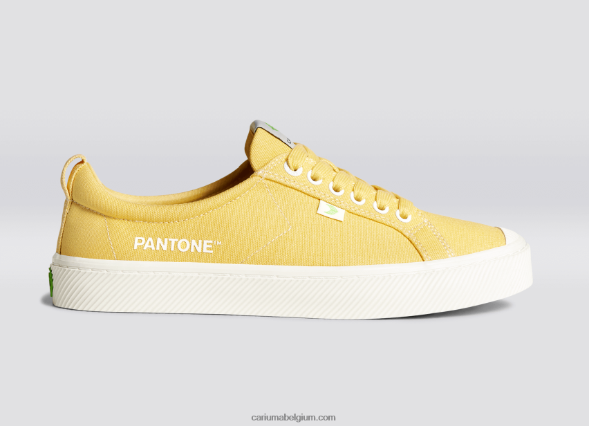 vrouwen Cariuma pantone maïszijde canvas 6F0Z24268