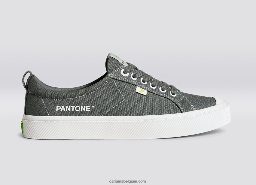 vrouwen Cariuma pantone waterspuwer grijs canvas 6F0Z24253