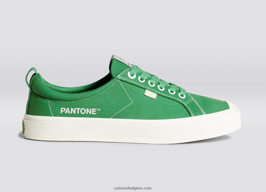 heren_cariuma_pantone_greenbriar_canvas_6f0z2420.png Heren Cariuma pantone greenbriar-canvas 6F0Z2420 - Afbeelding 1