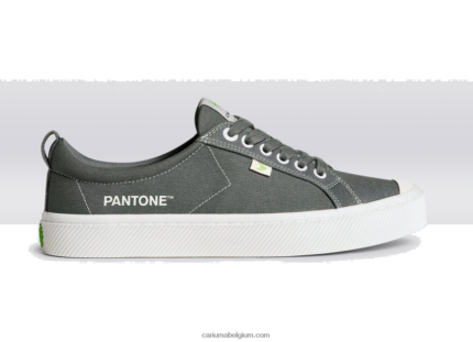Heren Cariuma pantone waterspuwer grijs canvas 6F0Z2440