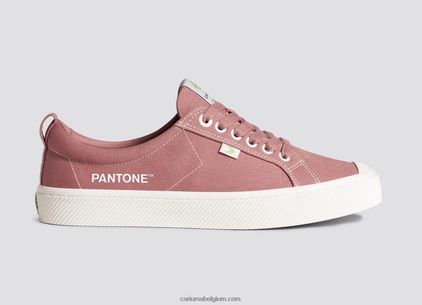 vrouwen_cariuma_pantone_verwelkt_rozendoek_6f0z24229.jpg vrouwen Cariuma pantone verwelkt rozendoek 6F0Z24229 - Afbeelding 1